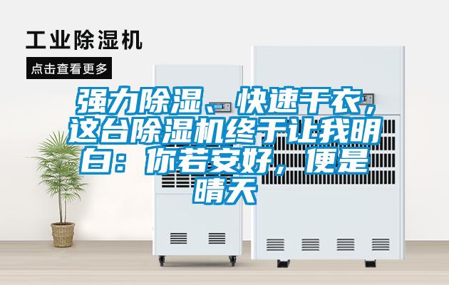 強力除濕、快速干衣，這臺除濕機終于讓我明白：你若安好，便是晴天