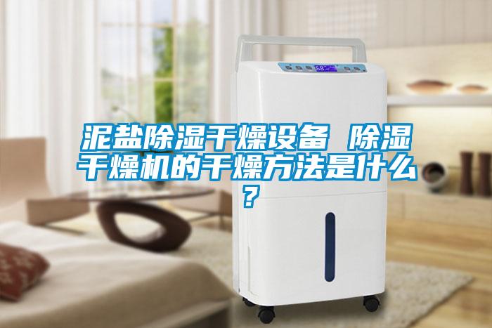 泥鹽除濕干燥設備 除濕干燥機的干燥方法是什么？
