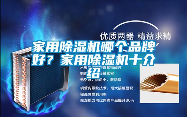 家用除濕機哪個品牌好？家用除濕機十介紹