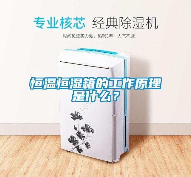 恒溫恒濕箱的工作原理是什么？