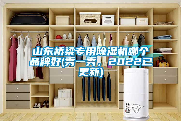 山東橋梁專用除濕機(jī)哪個(gè)品牌好(秀一秀，2022已更新)