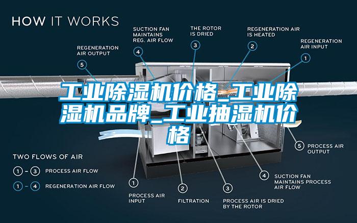 工業(yè)除濕機(jī)價格_工業(yè)除濕機(jī)品牌_工業(yè)抽濕機(jī)價格