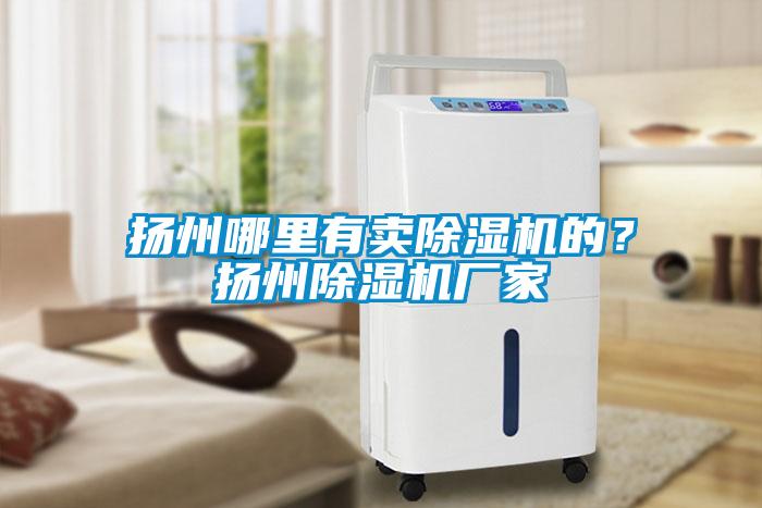 揚州哪里有賣除濕機的？揚州除濕機廠家