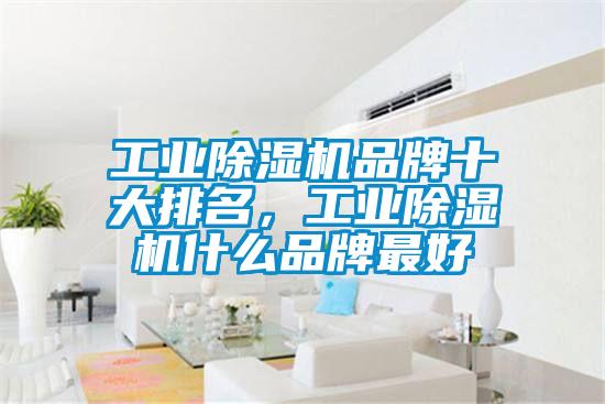 工業(yè)除濕機(jī)品牌十大排名，工業(yè)除濕機(jī)什么品牌最好
