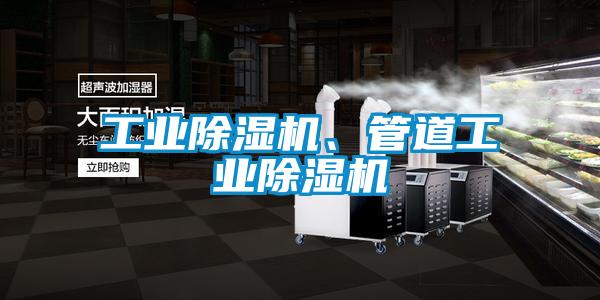 工業(yè)除濕機(jī)、管道工業(yè)除濕機(jī)