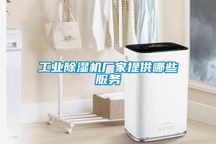 工業(yè)除濕機(jī)廠(chǎng)家提供哪些服務(wù)