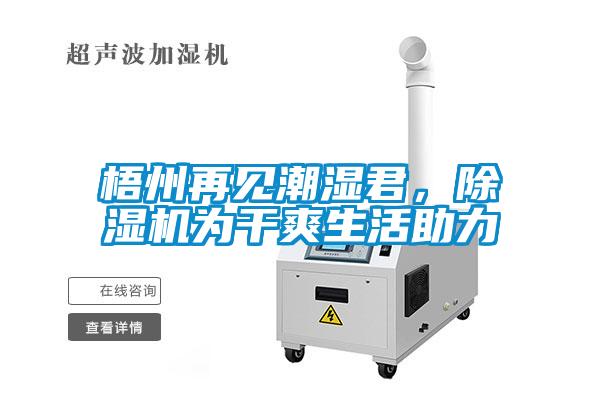 梧州再見潮濕君，除濕機為干爽生活助力