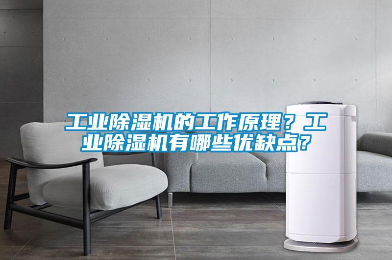 工業(yè)除濕機(jī)的工作原理？工業(yè)除濕機(jī)有哪些優(yōu)缺點(diǎn)？
