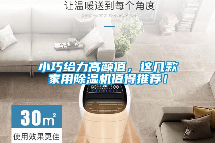 小巧給力高顏值，這幾款家用除濕機(jī)值得推薦！