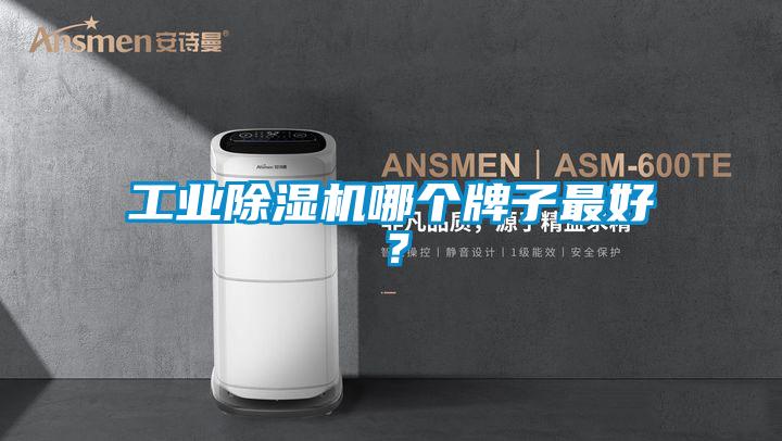 工業(yè)除濕機(jī)哪個(gè)牌子最好？