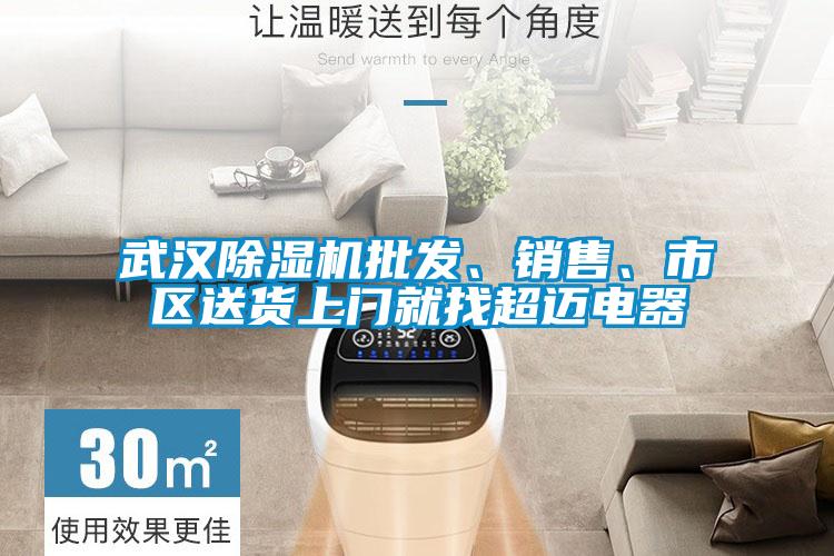 武漢除濕機(jī)批發(fā)、銷售、市區(qū)送貨上門就找超邁電器