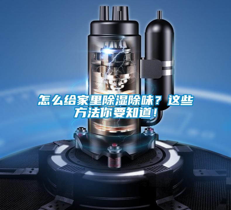 怎么給家里除濕除味？這些方法你要知道！