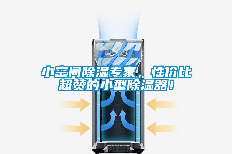 小空間除濕專家，性價比超贊的小型除濕器！