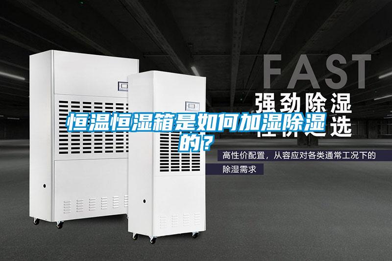 恒溫恒濕箱是如何加濕除濕的？