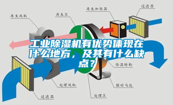 工業(yè)除濕機(jī)有優(yōu)勢(shì)體現(xiàn)在什么地方，及其有什么缺點(diǎn)？