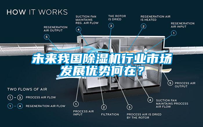 未來(lái)我國(guó)除濕機(jī)行業(yè)市場(chǎng)發(fā)展優(yōu)勢(shì)何在？