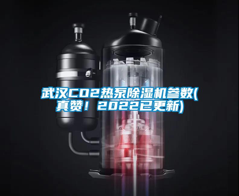 武漢CO2熱泵除濕機(jī)參數(shù)(真贊！2022已更新)