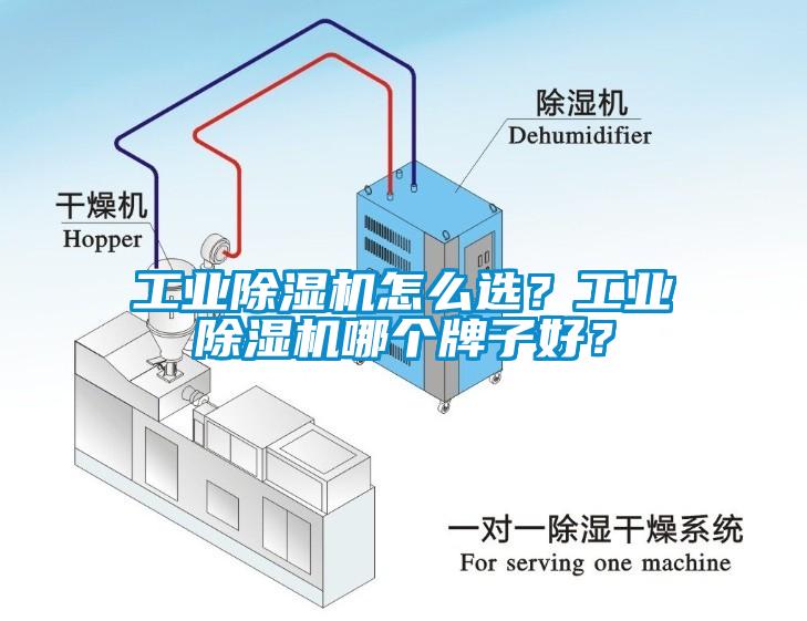 工業(yè)除濕機(jī)怎么選？工業(yè)除濕機(jī)哪個(gè)牌子好？