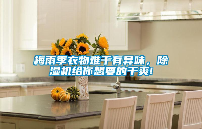 梅雨季衣物難干有異味，除濕機(jī)給你想要的干爽!