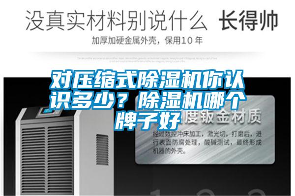對(duì)壓縮式除濕機(jī)你認(rèn)識(shí)多少？除濕機(jī)哪個(gè)牌子好