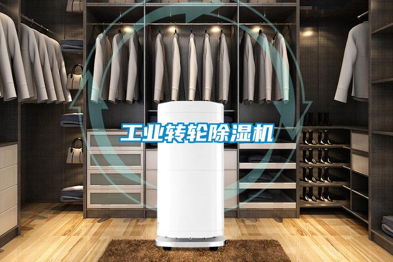工業(yè)轉輪除濕機