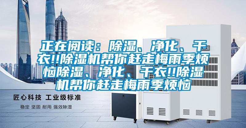 正在閱讀：除濕、凈化、干衣!!除濕機幫你趕走梅雨季煩惱除濕、凈化、干衣!!除濕機幫你趕走梅雨季煩惱