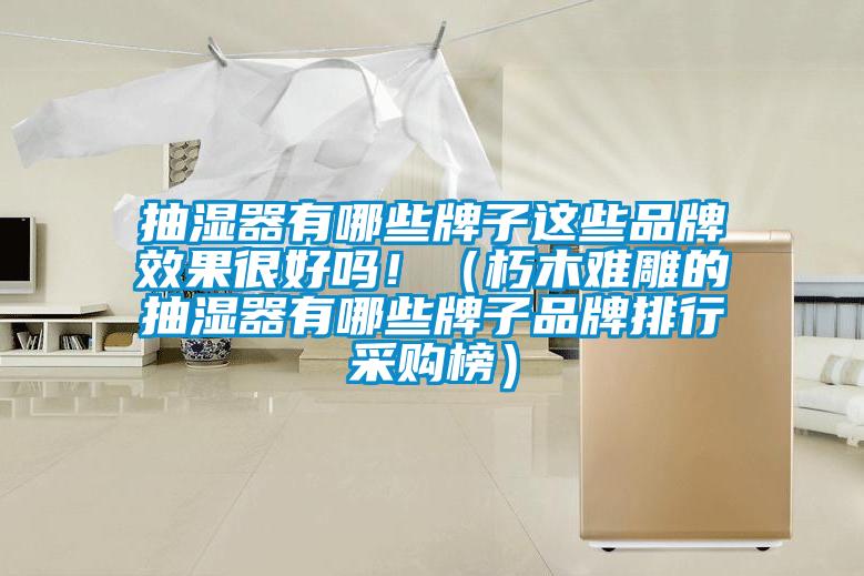 抽濕器有哪些牌子這些品牌效果很好嗎?。ㄐ嗄倦y雕的抽濕器有哪些牌子品牌排行采購榜）