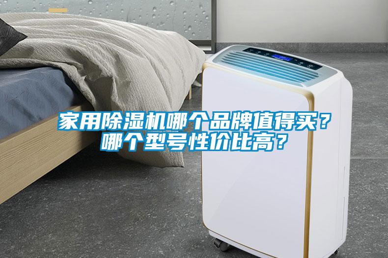 家用除濕機(jī)哪個(gè)品牌值得買(mǎi)？哪個(gè)型號(hào)性價(jià)比高？