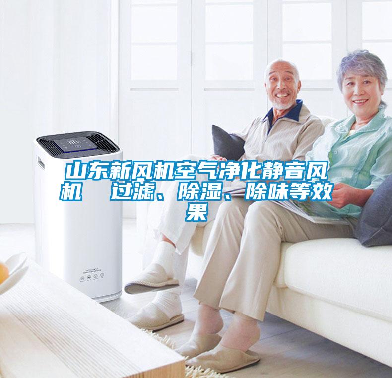 山東新風(fēng)機空氣凈化靜音風(fēng)機  過濾、除濕、除味等效果