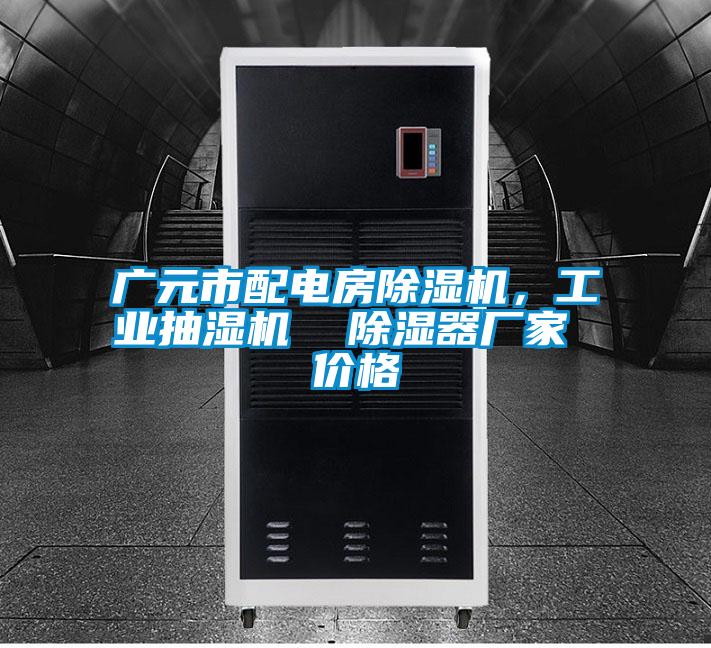 廣元市配電房除濕機(jī)，工業(yè)抽濕機(jī)  除濕器廠家 價格