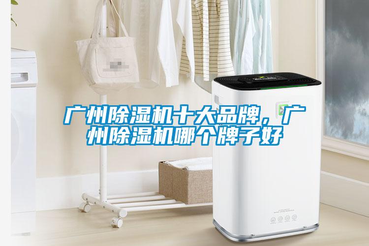 廣州除濕機(jī)十大品牌，廣州除濕機(jī)哪個(gè)牌子好