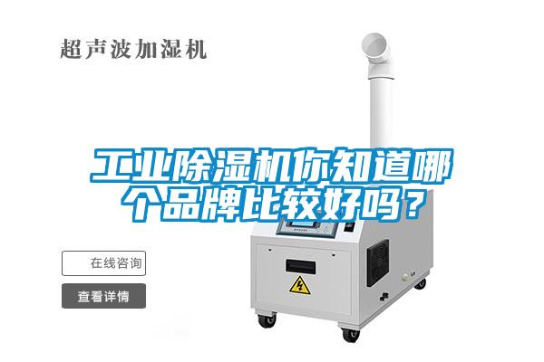 工業(yè)除濕機你知道哪個品牌比較好嗎？