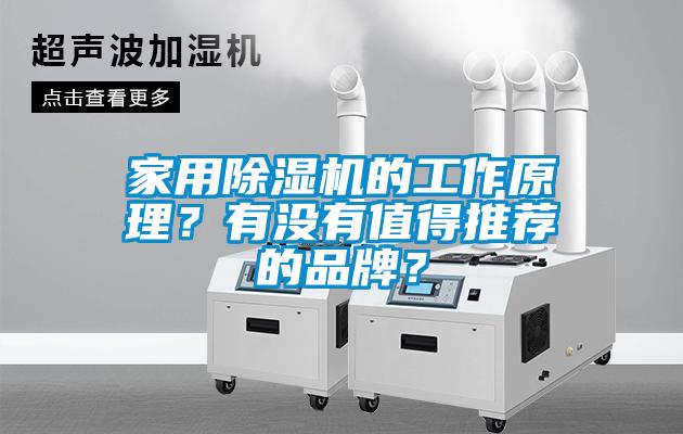 家用除濕機(jī)的工作原理？有沒有值得推薦的品牌？