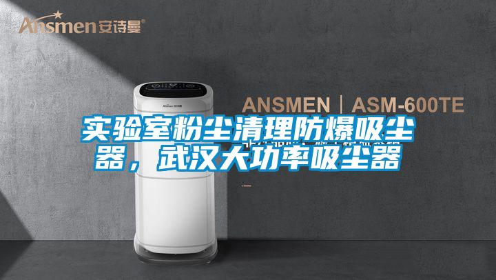 實驗室粉塵清理防爆吸塵器，武漢大功率吸塵器