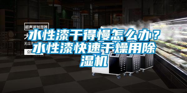 水性漆干得慢怎么辦？水性漆快速干燥用除濕機(jī)