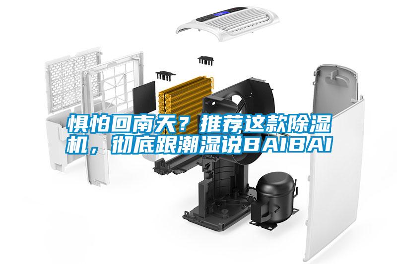 懼怕回南天？推薦這款除濕機，徹底跟潮濕說BAIBAI