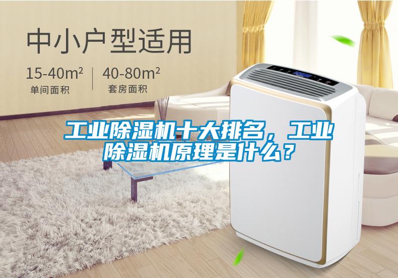 工業(yè)除濕機(jī)十大排名，工業(yè)除濕機(jī)原理是什么？