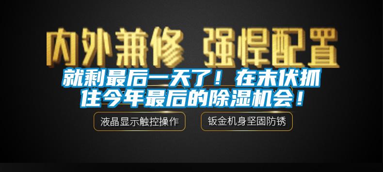 就剩最后一天了！在末伏抓住今年最后的除濕機(jī)會(huì)！