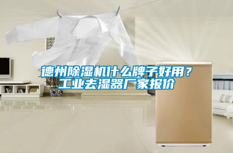 德州除濕機什么牌子好用？工業(yè)去濕器廠家報價