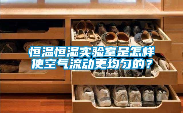 恒溫恒濕實驗室是怎樣使空氣流動更均勻的？