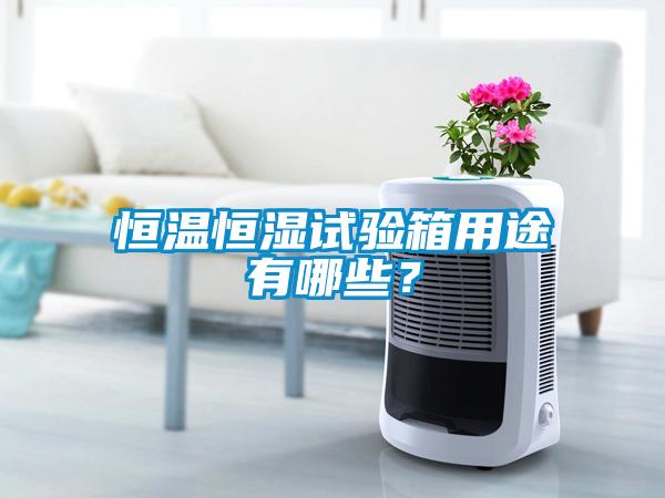 恒溫恒濕試驗(yàn)箱用途有哪些？