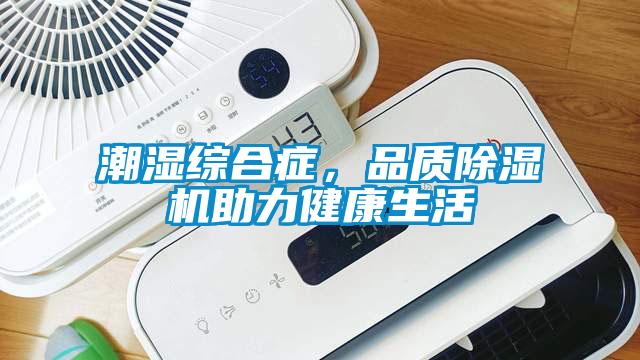 潮濕綜合癥，品質(zhì)除濕機(jī)助力健康生活