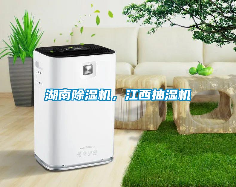 湖南除濕機(jī)，江西抽濕機(jī)