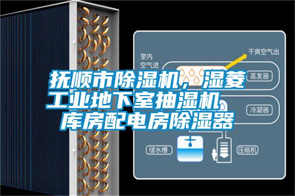 撫順市除濕機，濕菱工業(yè)地下室抽濕機  庫房配電房除濕器