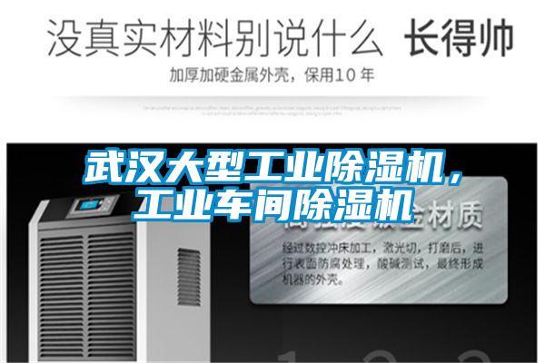 武漢大型工業(yè)除濕機(jī)，工業(yè)車(chē)間除濕機(jī)
