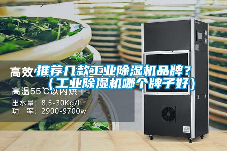 推薦幾款工業(yè)除濕機(jī)品牌？（工業(yè)除濕機(jī)哪個(gè)牌子好）