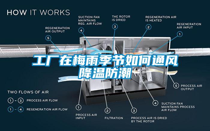 工廠(chǎng)在梅雨季節(jié)如何通風(fēng)降溫防潮