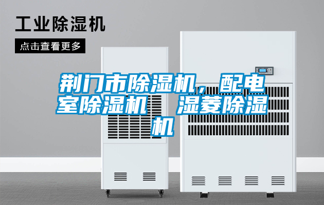 荊門市除濕機(jī)，配電室除濕機(jī)  濕菱除濕機(jī)