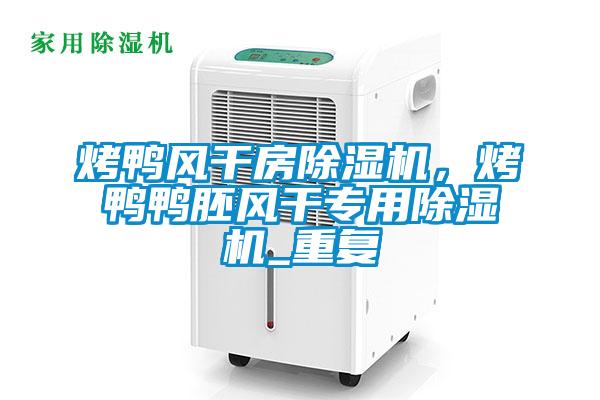 烤鴨風干房除濕機，烤鴨鴨胚風干專用除濕機_重復