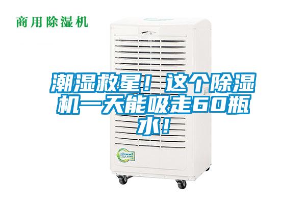 潮濕救星！這個除濕機一天能吸走60瓶水！